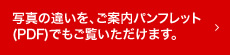 写真の違いを、ご案内パンフレット(PDF)でもご覧いただけます。