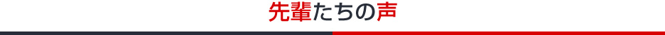 先輩たちの声